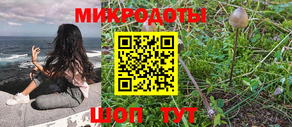Миасс  Псилоцибиновые грибы мухоморы  Псилоцибиновые грибы GOLDEN TEACHER  Вход с VPN 